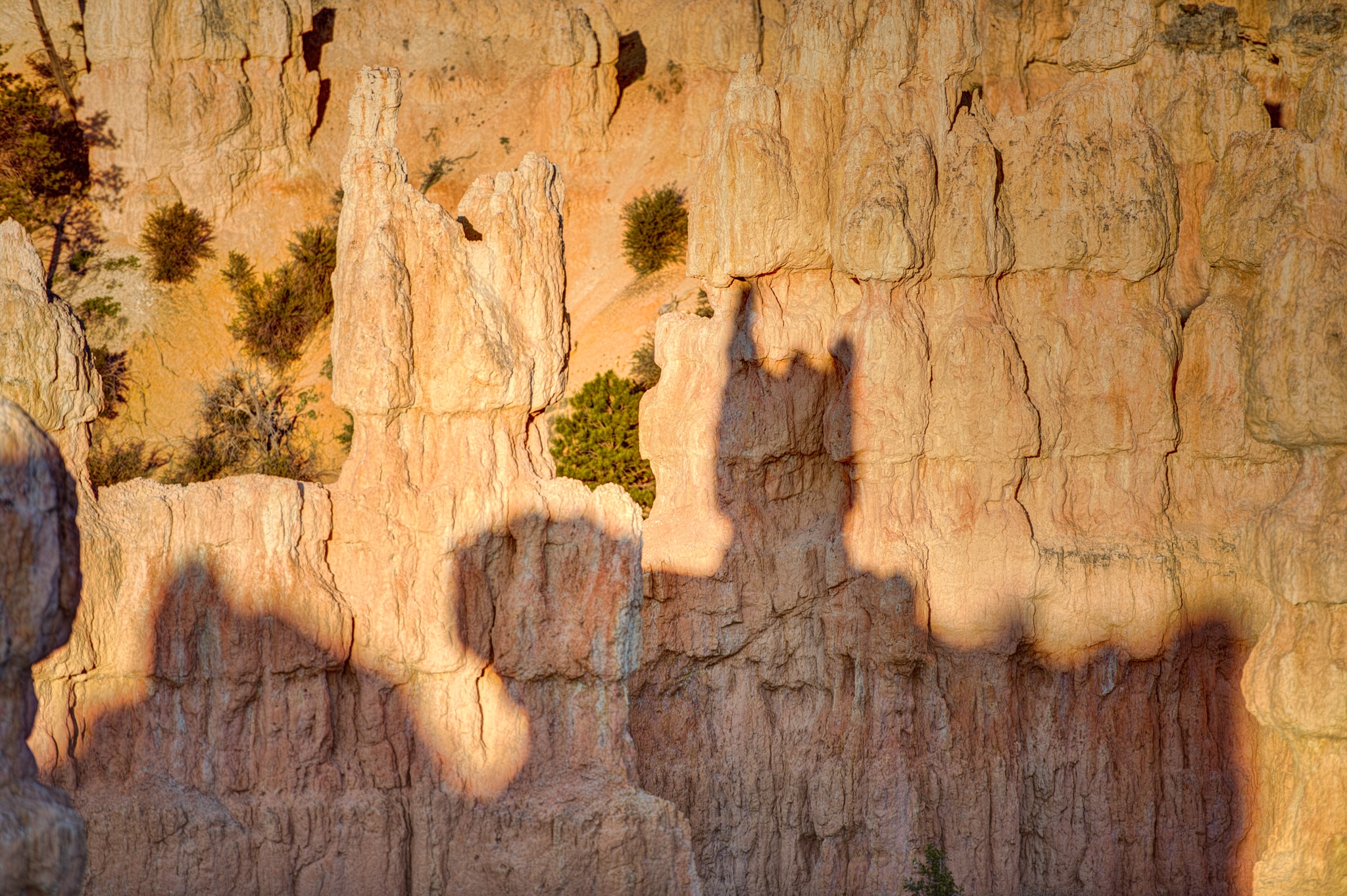 The morning sun casts an interesting shadow on hoodoos in the Fairyland area of Bryce Canyon National Park, Utah.