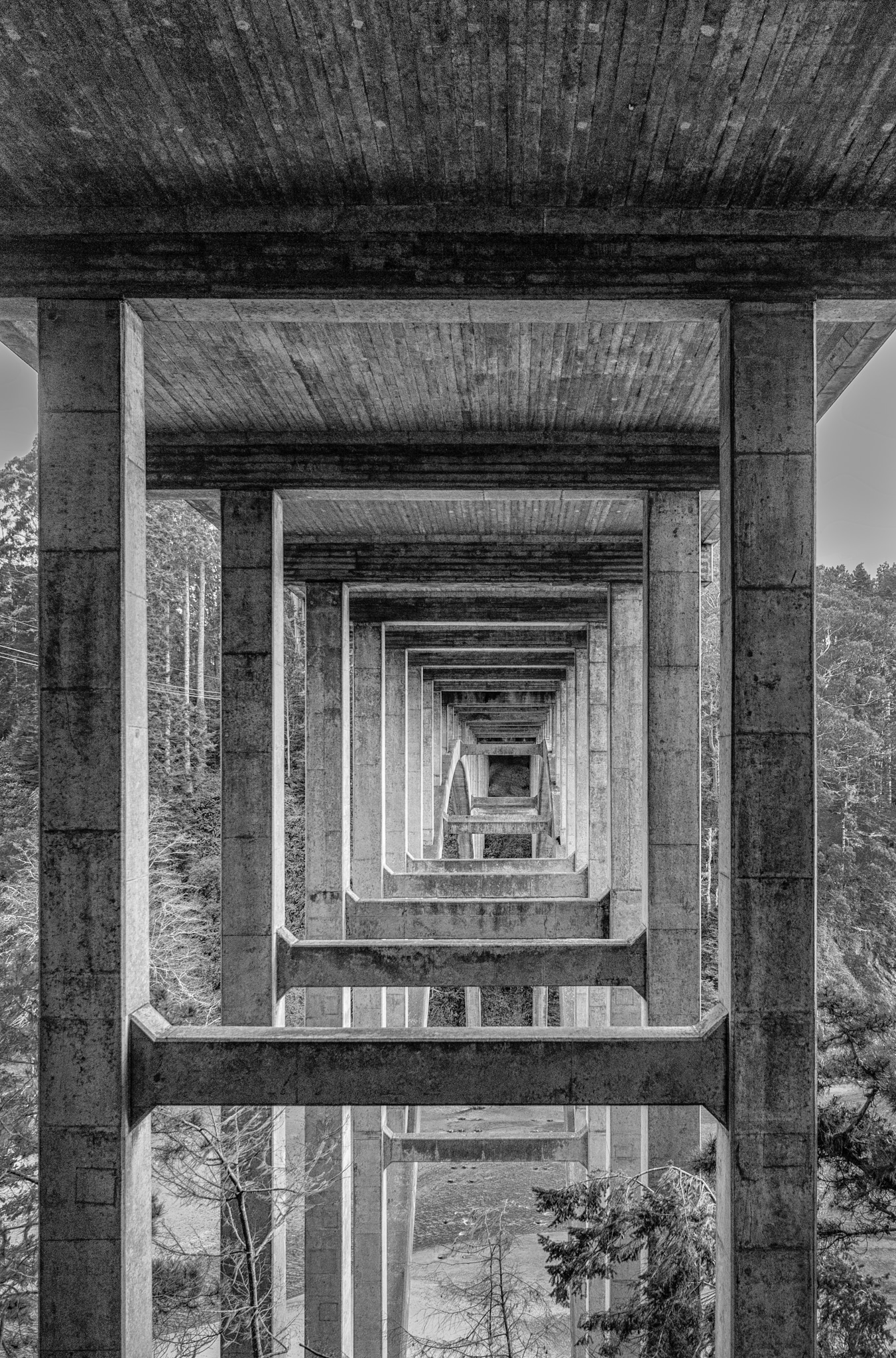 This black-and-white view of retreating squares was taken from beneath the graceful arch of the Russian Gulch Bridge, also known as the Frederick W. Panhorst Bridge, spans the Russian Gulch Creek in Russian Gulch State Park, Mendocino County, California,