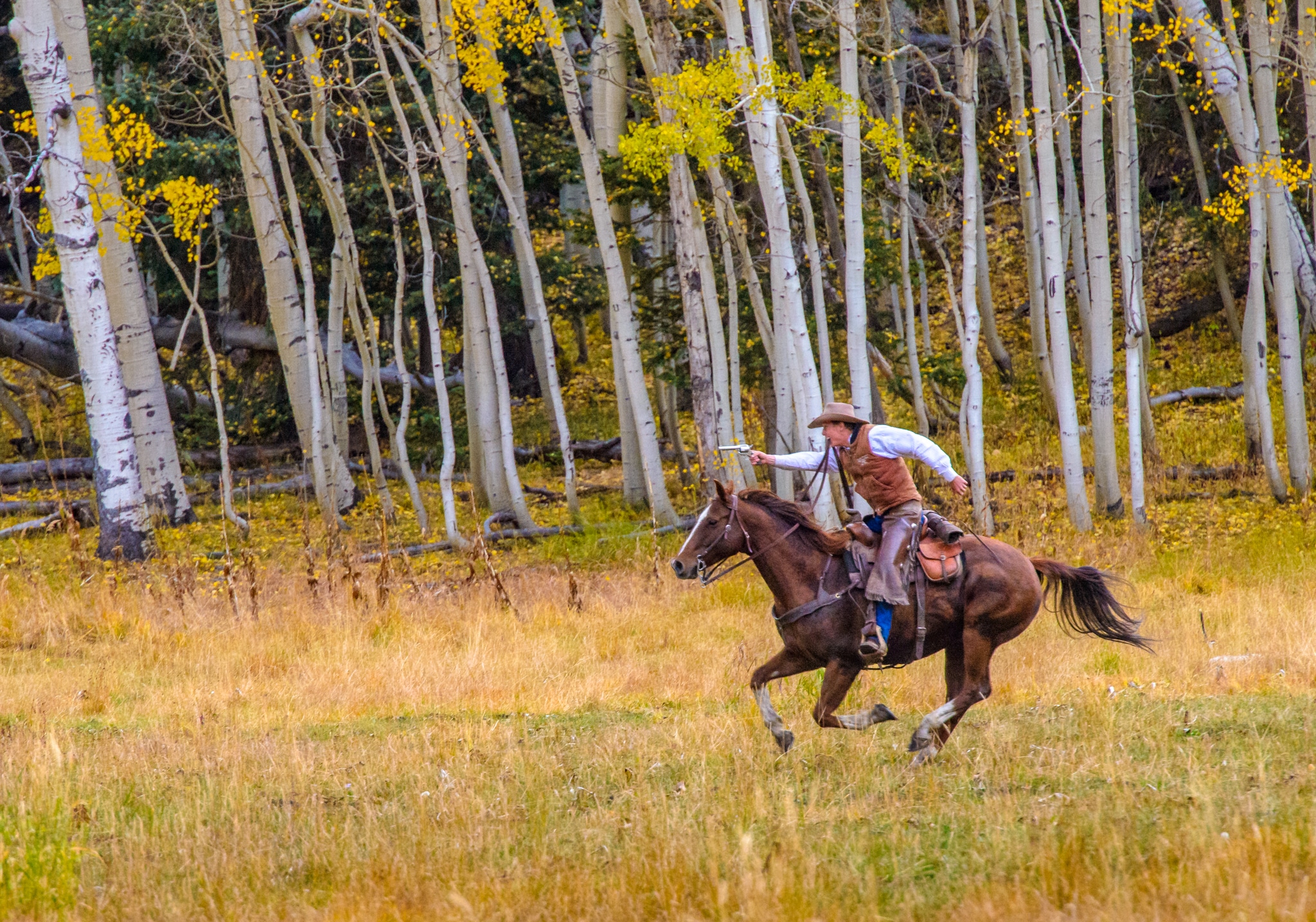 Here a reenacter is practicing for the famous scene from the Jon Wayne version of True Grit in Katie's Meadow along Owl Creek Pass Road between Ridgway and Cimarron, Colorado.