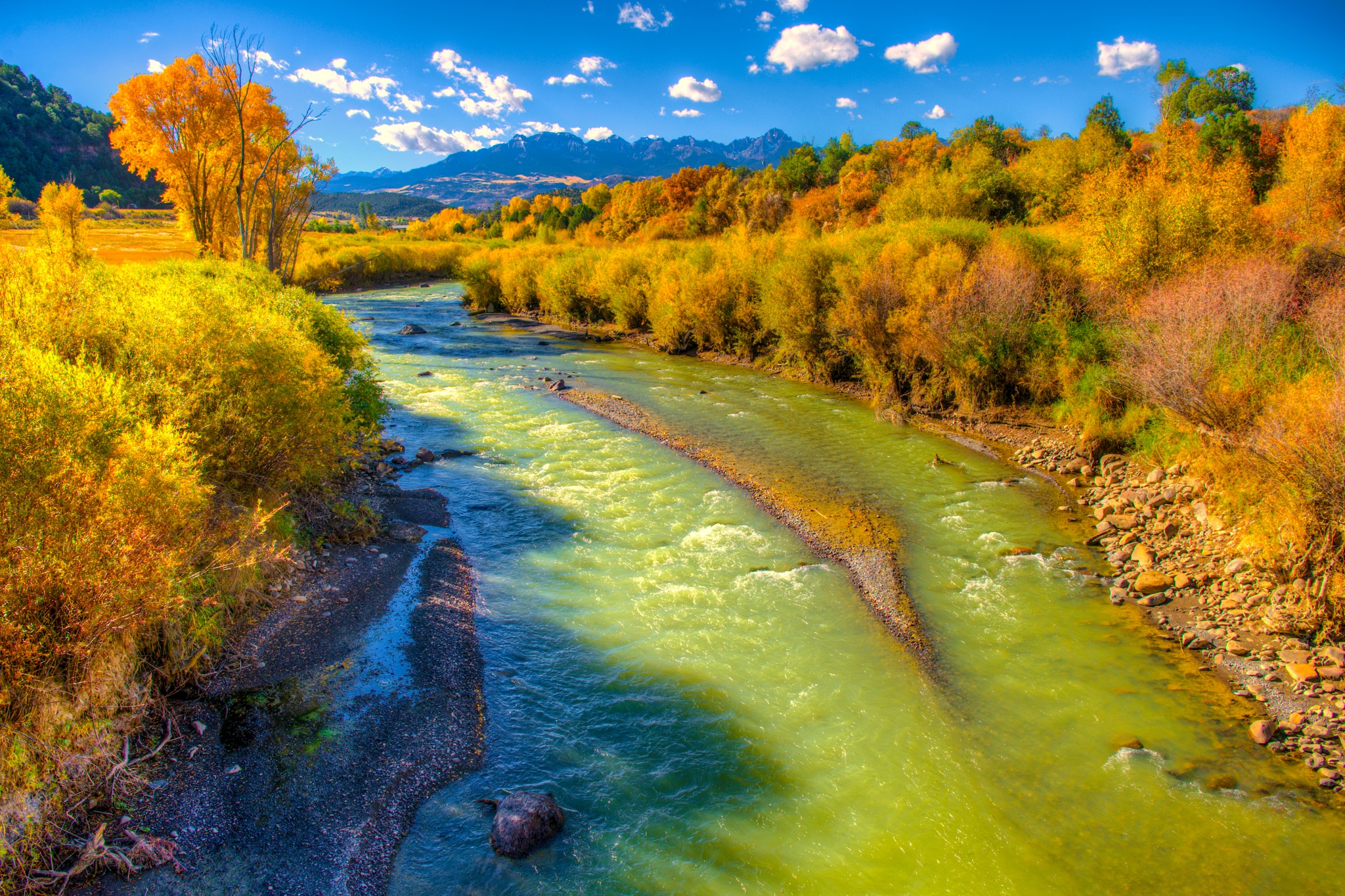 The Uncompahgre River is a beautiful green color as it heads from Ouray, Colorado, to join the Gunnison River near Delta, Colorado. Fall foliage lines the banks near Ridgway State Park on Highway 550.