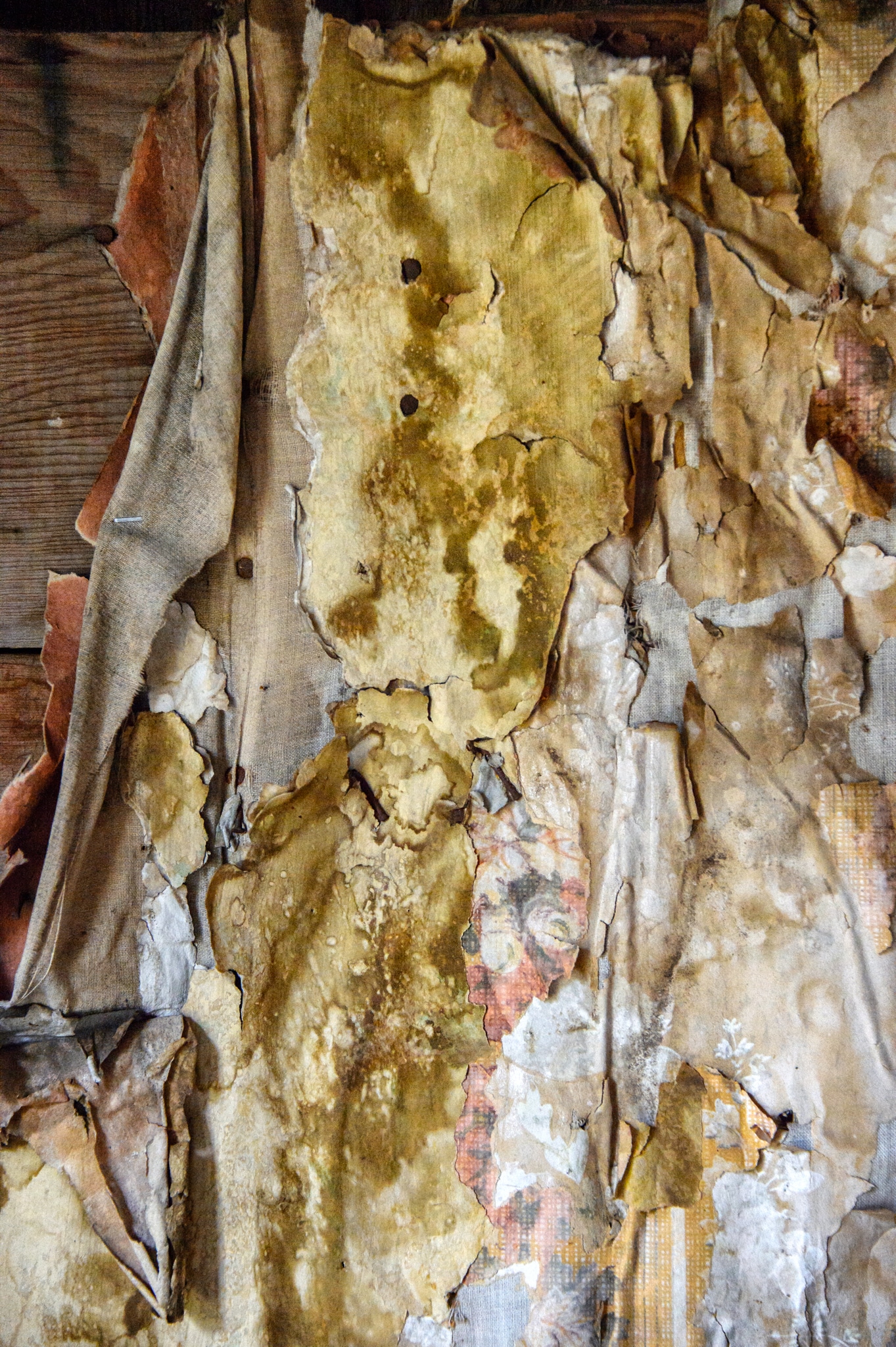 This is a close-up view of old wood and other materials covering the interior of a structure located in the Animas Forks townsite, northest of Silverton, Colorado, on San Juan County Road 2 near the Alpine Loop.