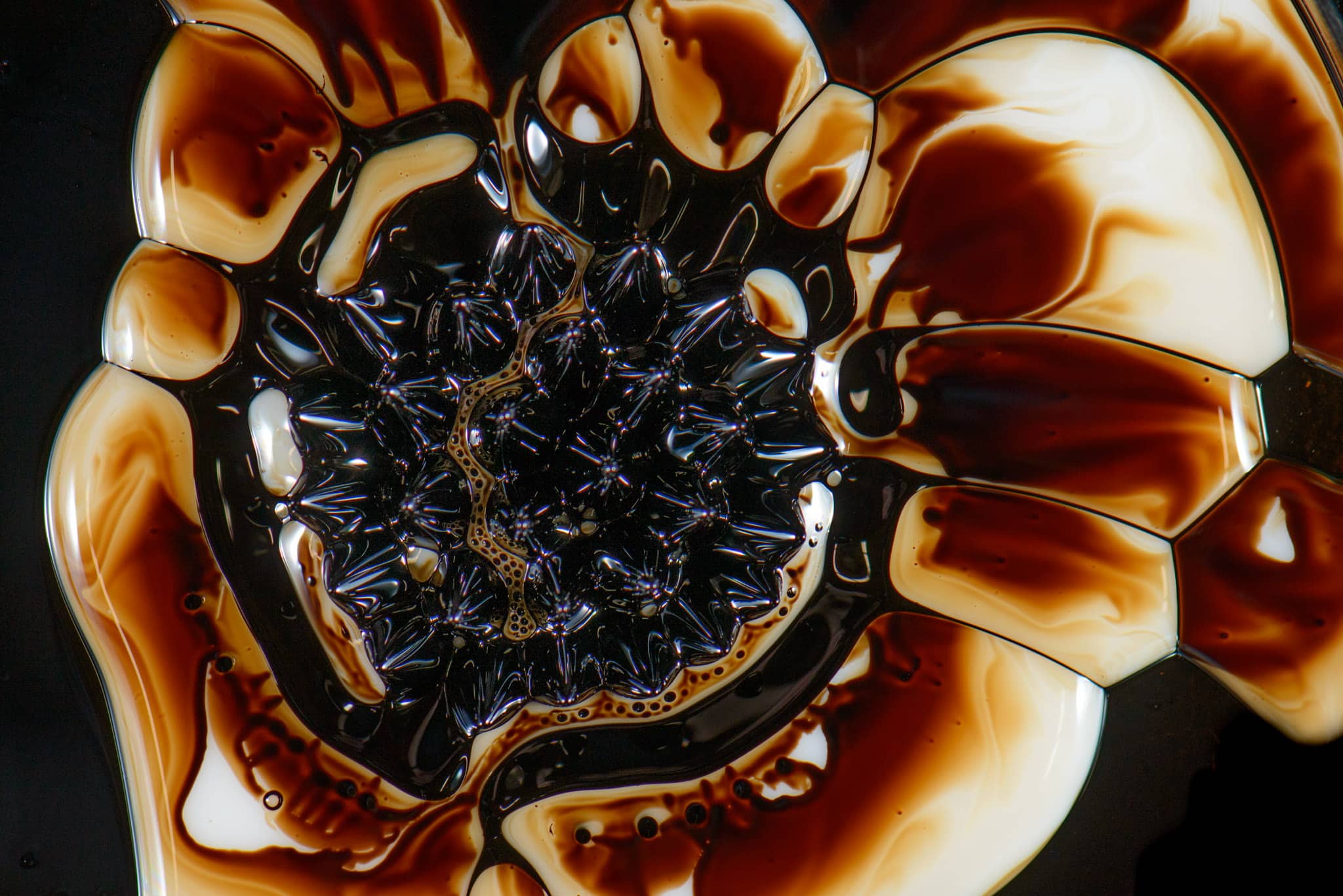 Ferro-magnetic fluid in a petrie dish with milk, food coloring, acrylic paint, and glycerine. - Ferrofluid abstract photographs