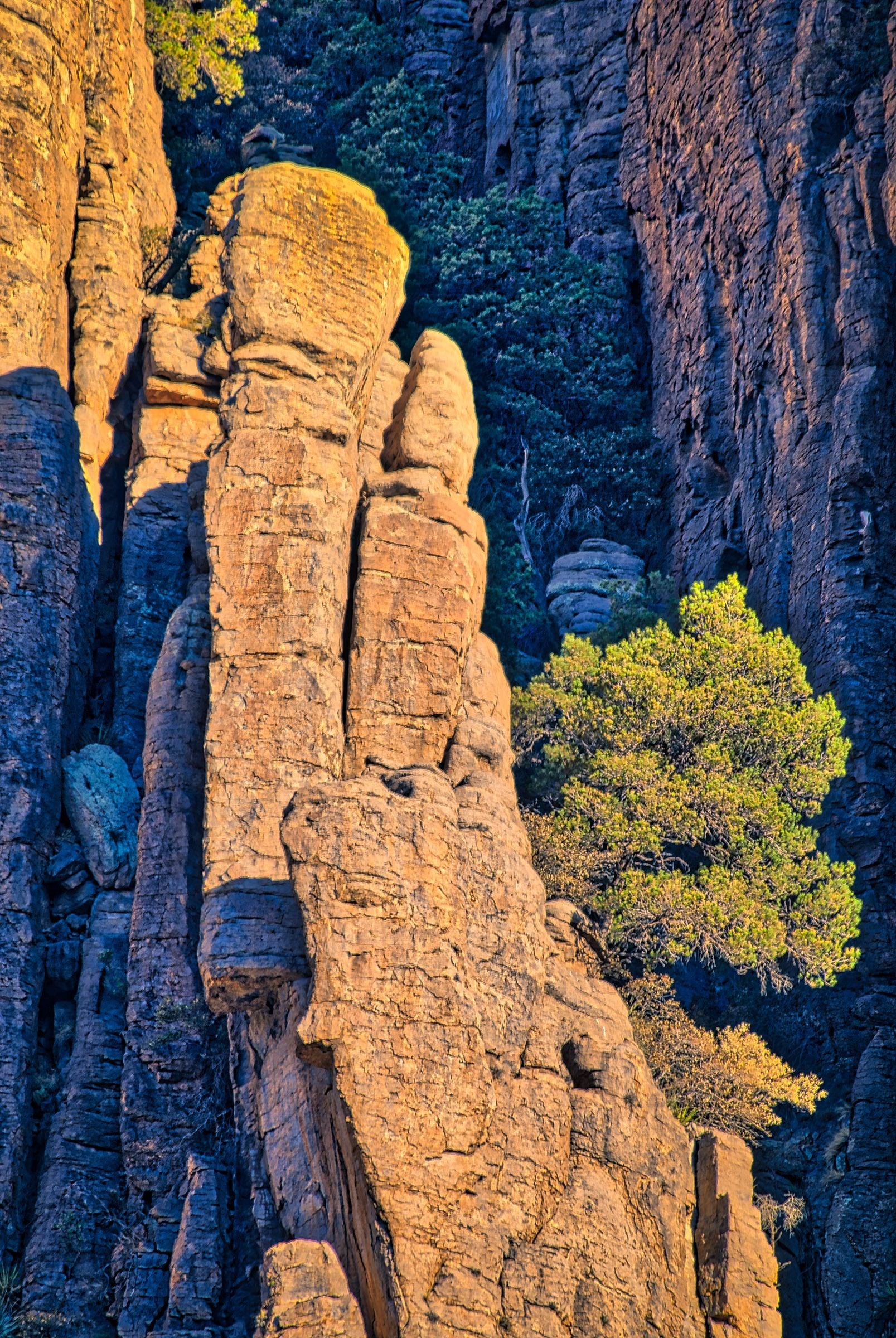 Rock structure of the Organ Pipe Formation in Chiricahua National Monument. The columns are formed of Rhyolite Canyon Tuff.