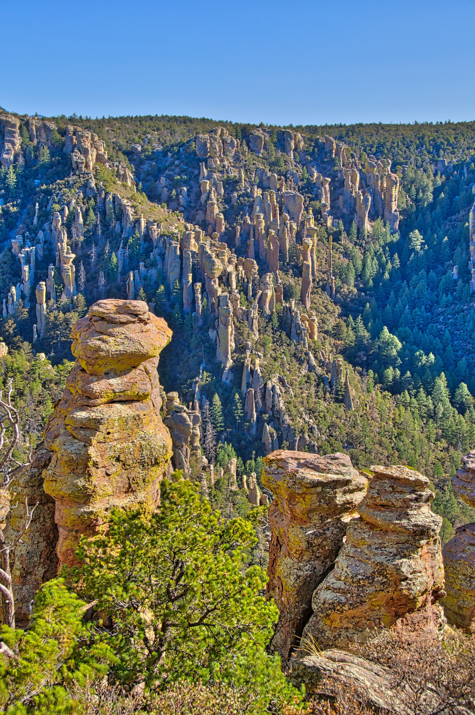 Canyon lined with rock columns north of Massai Point  in Chiricahua National Monument. The columns are formed of Rhyolite Canyon Tuff.