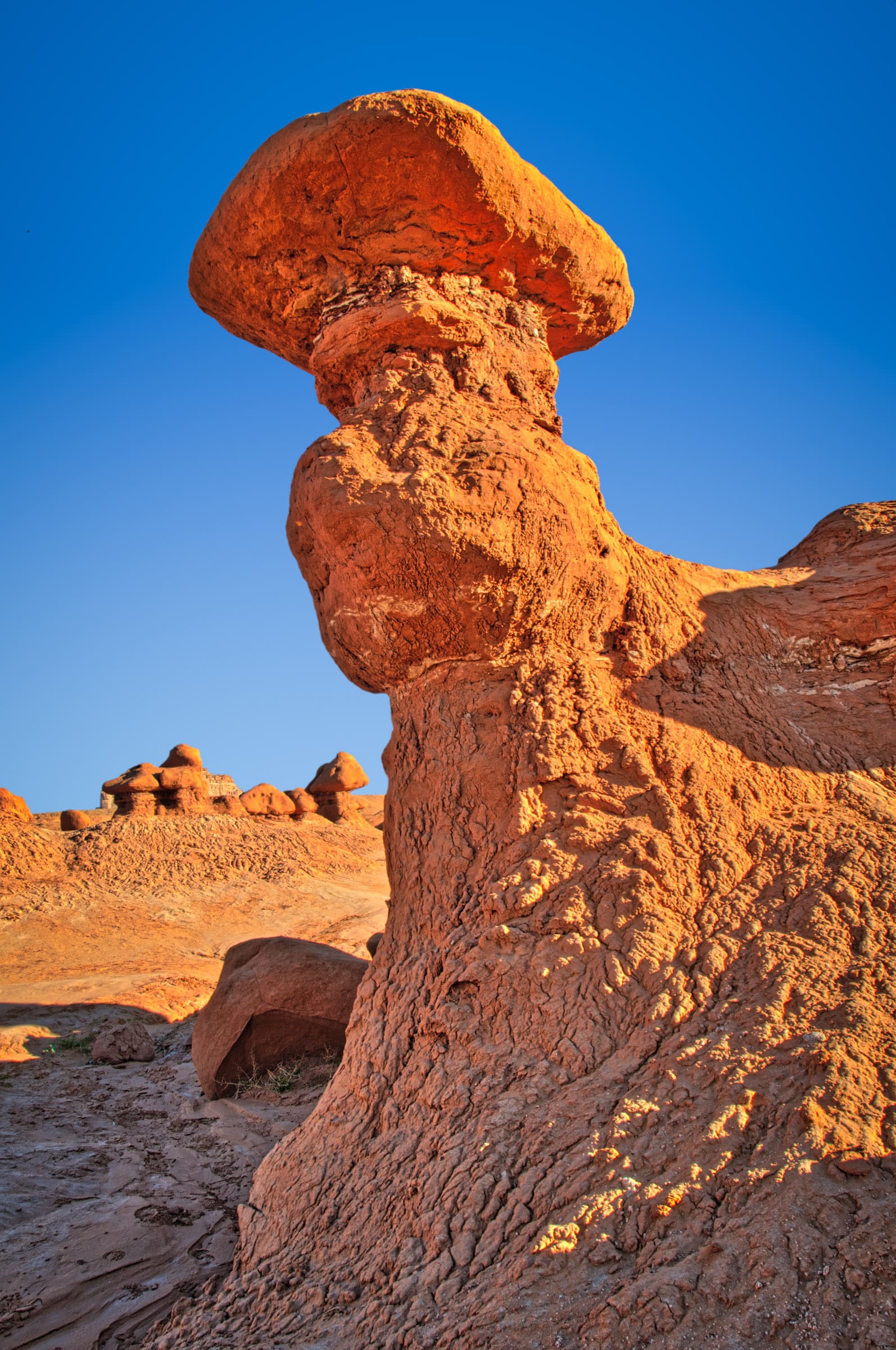 The hoodoos of Goblin Valley shine a rich red in the early morning light.