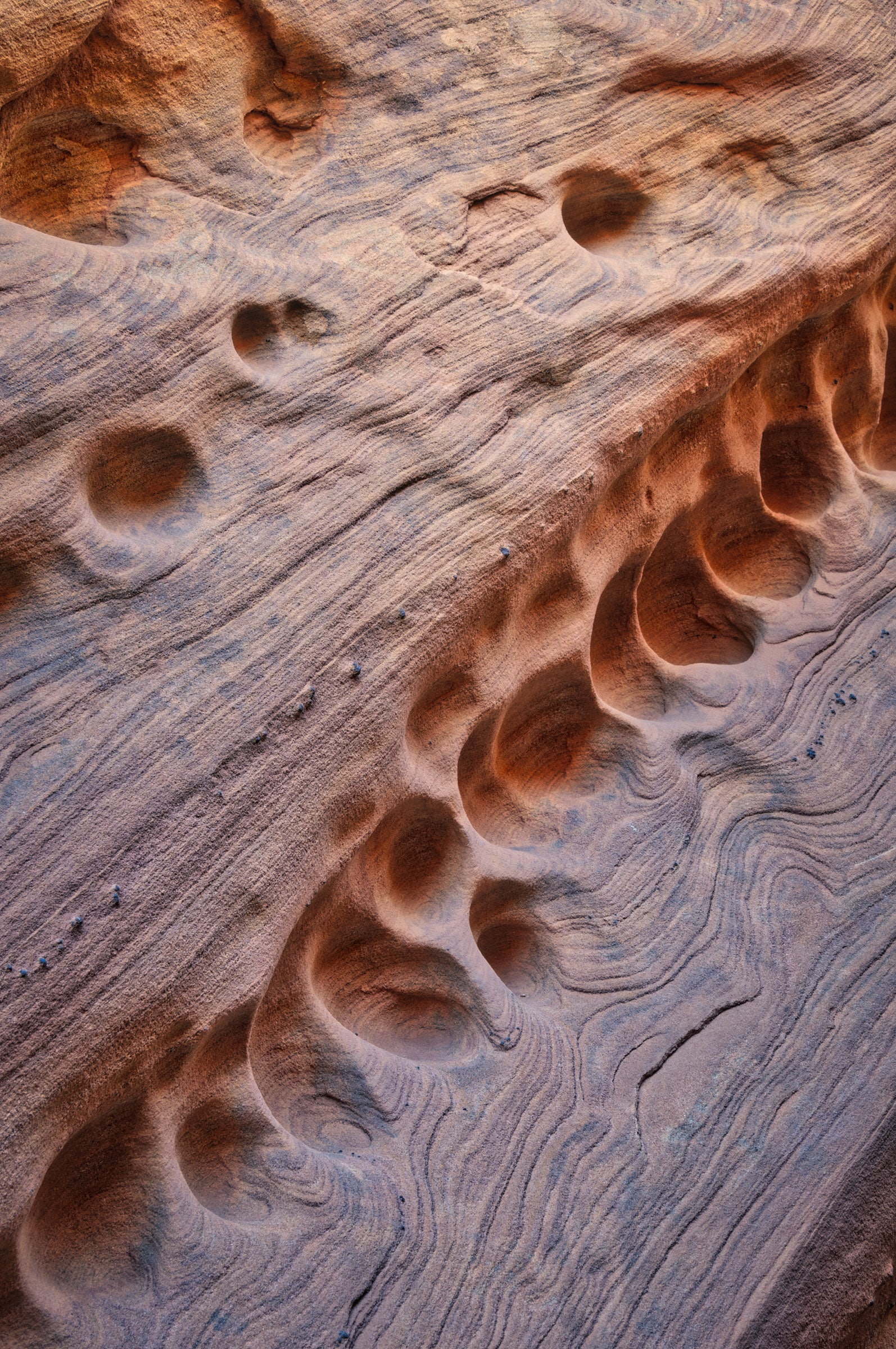 This is a detail of the wall of Bell Canyon, a slot canyon off Wild Horse Road, near Goblin Valley State Park, Utah.
