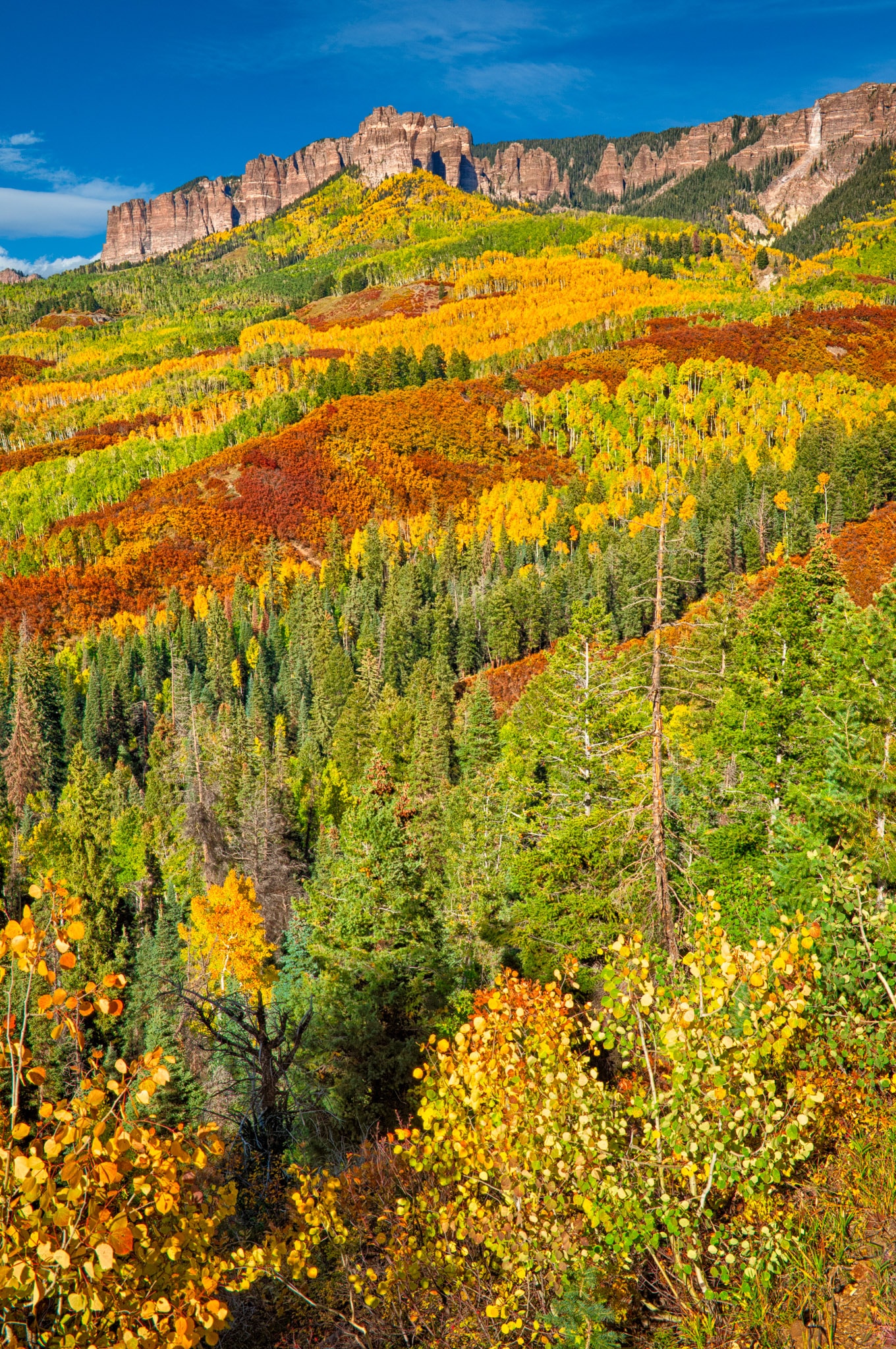 Russet oaks and golden aspens lead the eye up to the Cimarron Mountains as seen from Owl Creek Pass Road near Ridgway, Colorado.