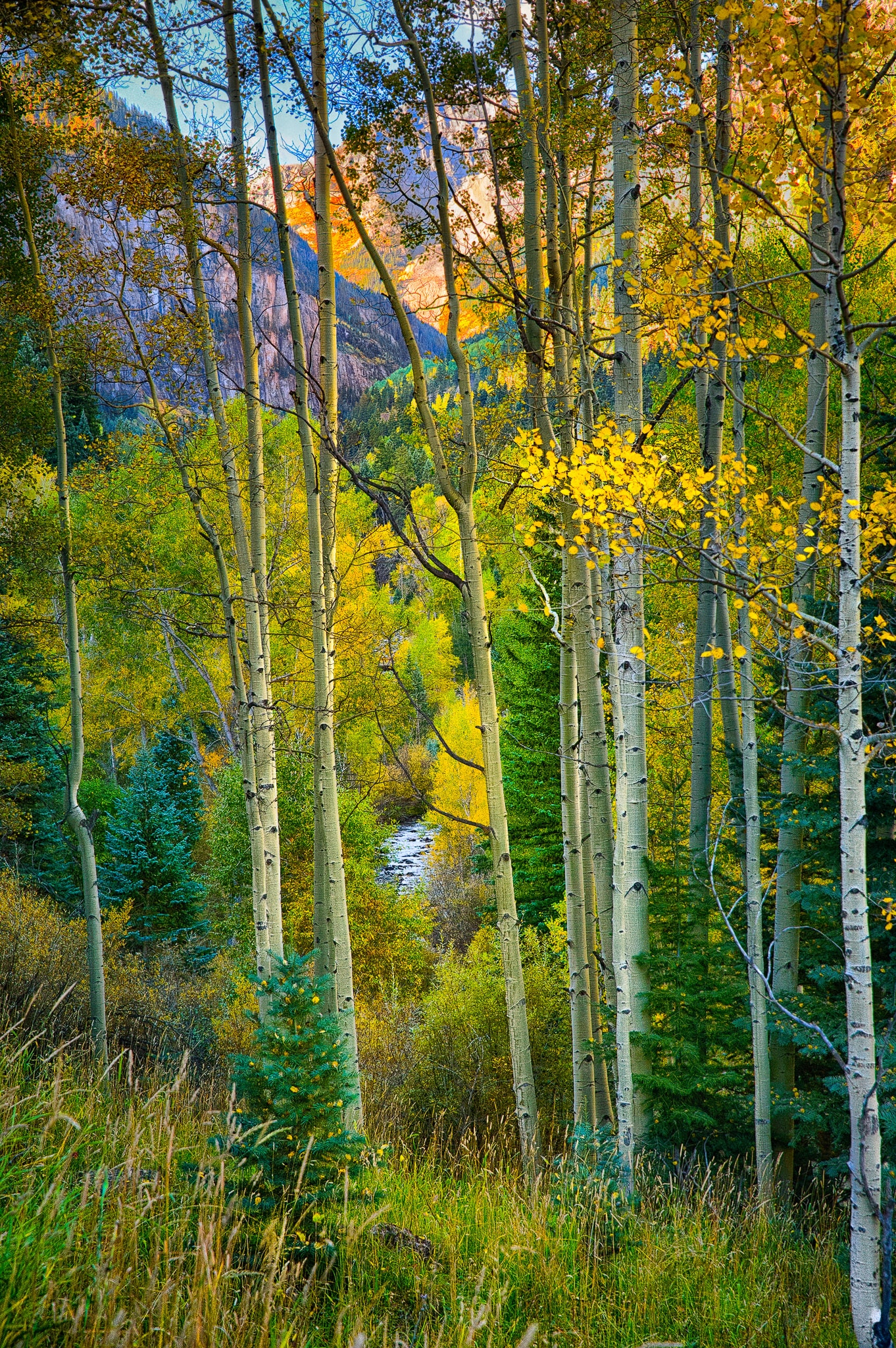 Camp Bird Road takes you to the old Camp Bird mining complex. This route is more famous for its ramshackle mining buildings and summer wild flowers. In the fall, though, colorful aspens, deep green confifers, and a the rushing water of Canyon Creek present photographers with varied and lovely views less than 10 miles from Ouray.