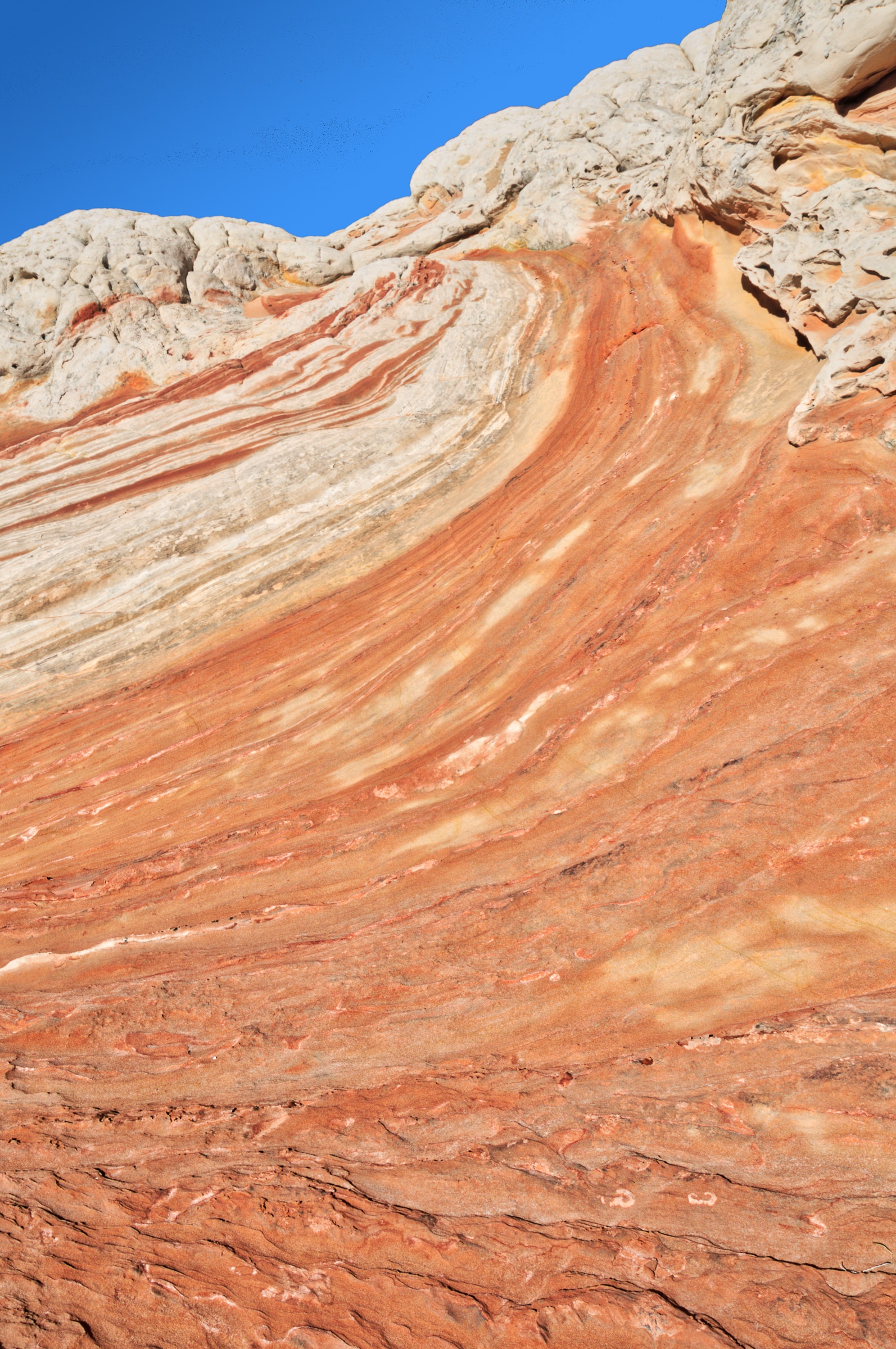 The mixture of laminated sandstone and brain rock look like a wave heading to shore in Vermillion Cliffs National Monument.