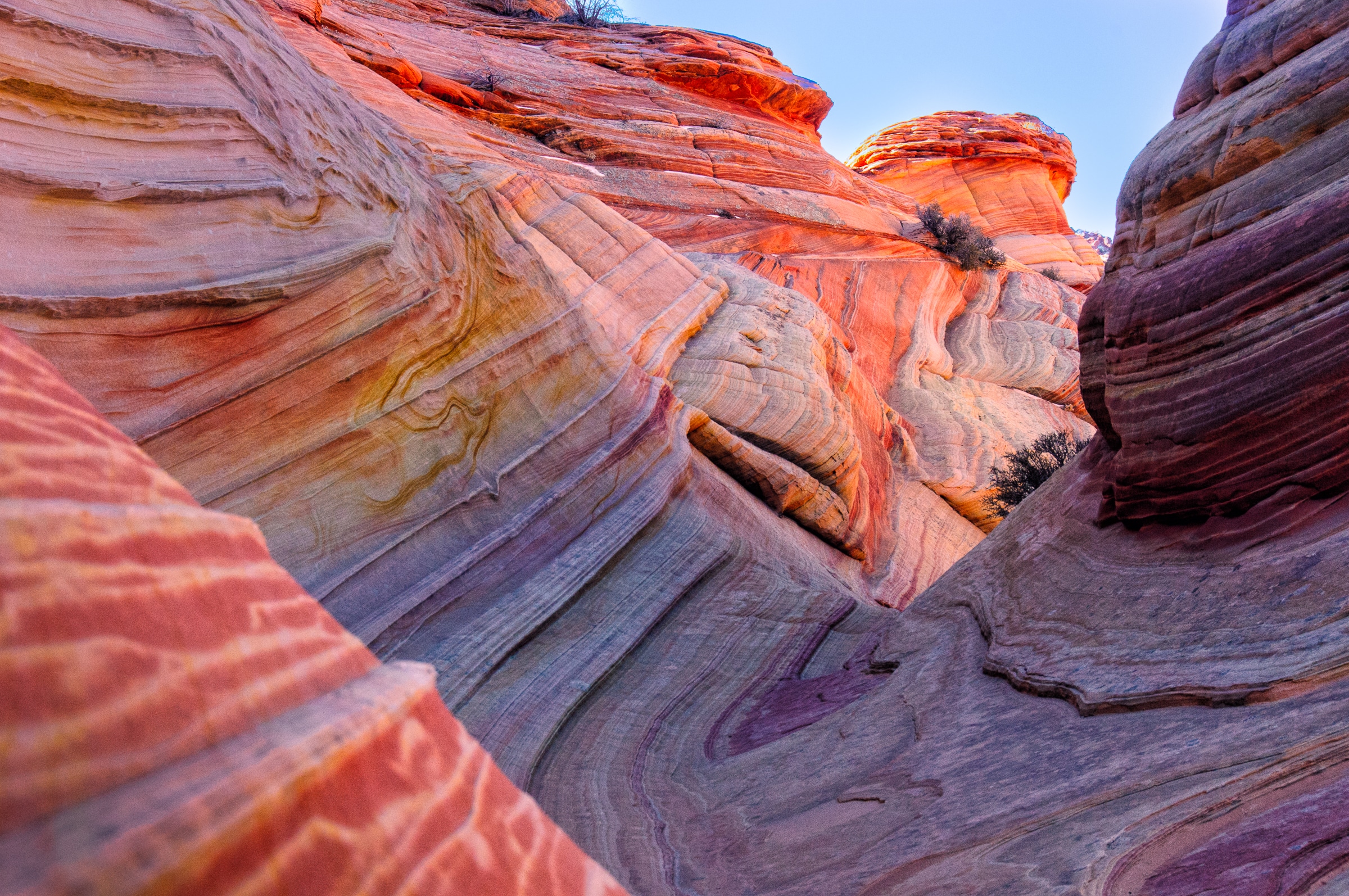 Sandstone strata at The Wave in the North Coyote Buttes area of the Vermillion Cliffs National Monument.