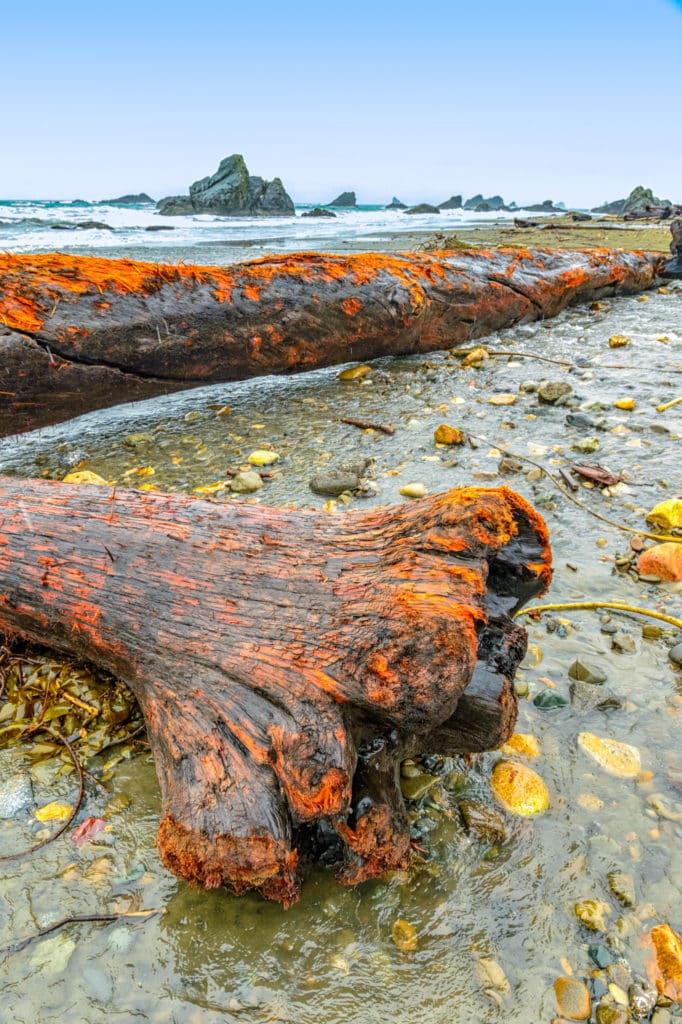 Driftwood and Sea Stacks - Oregon's Pacific coast