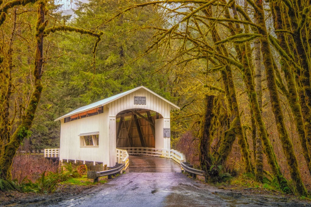 Wild Cat Bridge - Oregon's Pacific coast