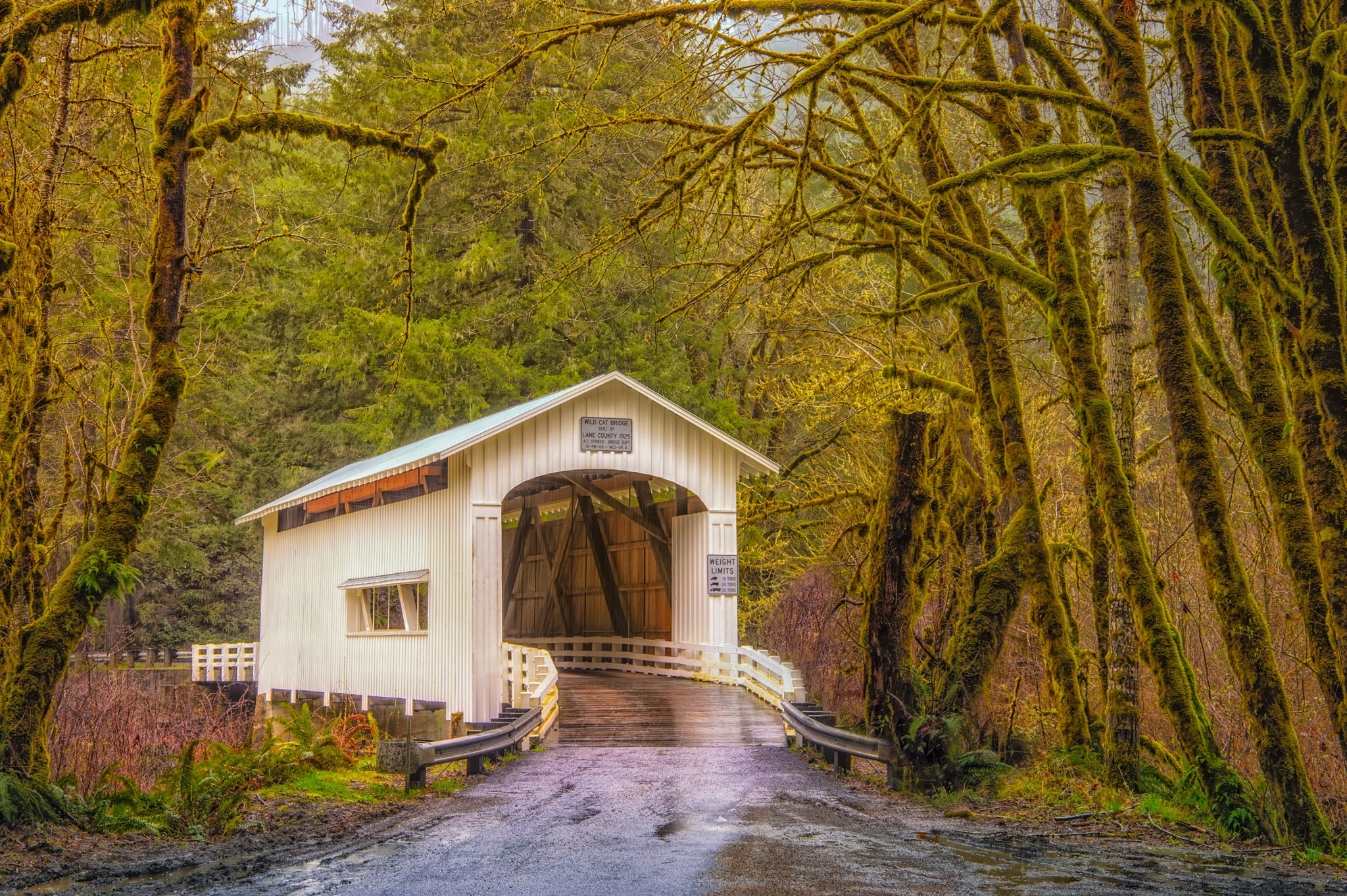 Wildcat Creek Covered Bridge was built in 1925 near the confluence of Wildcat Creek and the Suislaw River, 27 miles east of Florence, Oregon.
