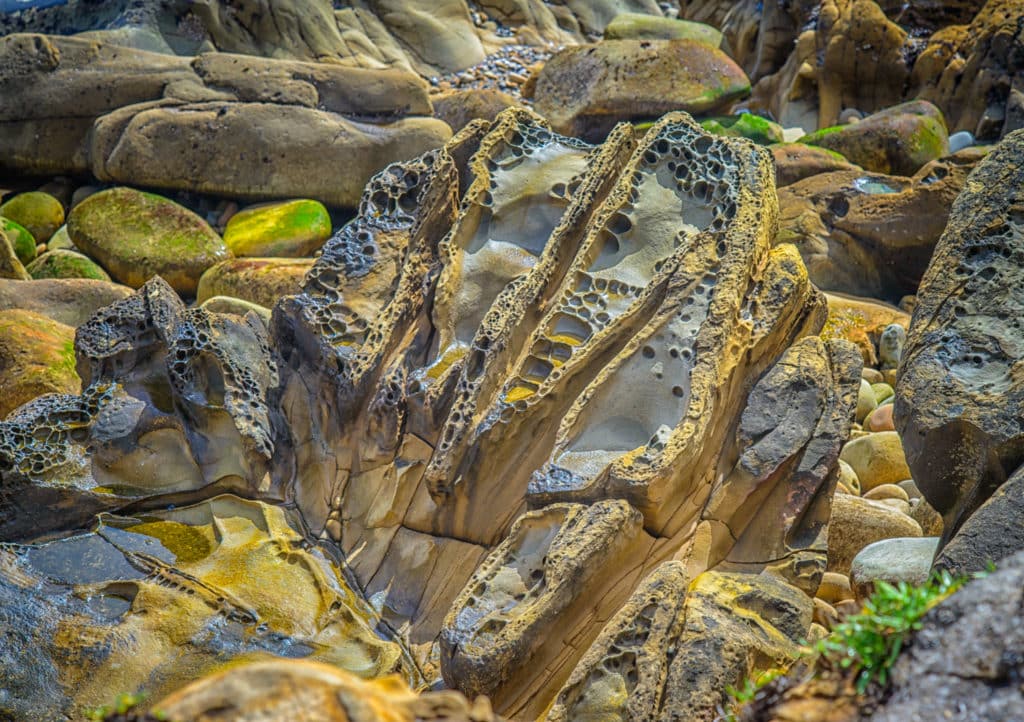 Close-up of tafoni, which is the result of salt water erosion of sandstone. This example is found at Salt Pont State Park, in Sanoma County, California.