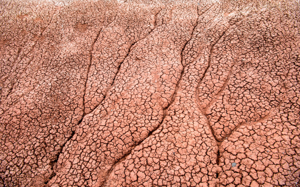 Mudcracks in the Painted Hills