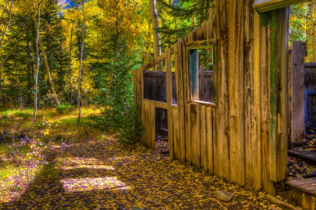 Sun shines through a window in an Ironton Townsite ruin to illuminate golden aspen leaves that have fallen to the ground.