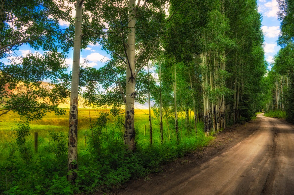 This tranquil view of a country dirt road was taken on Hinsdale County Road 50, northeast of the Cebolla Day Use Area near Lake City, Colorado.