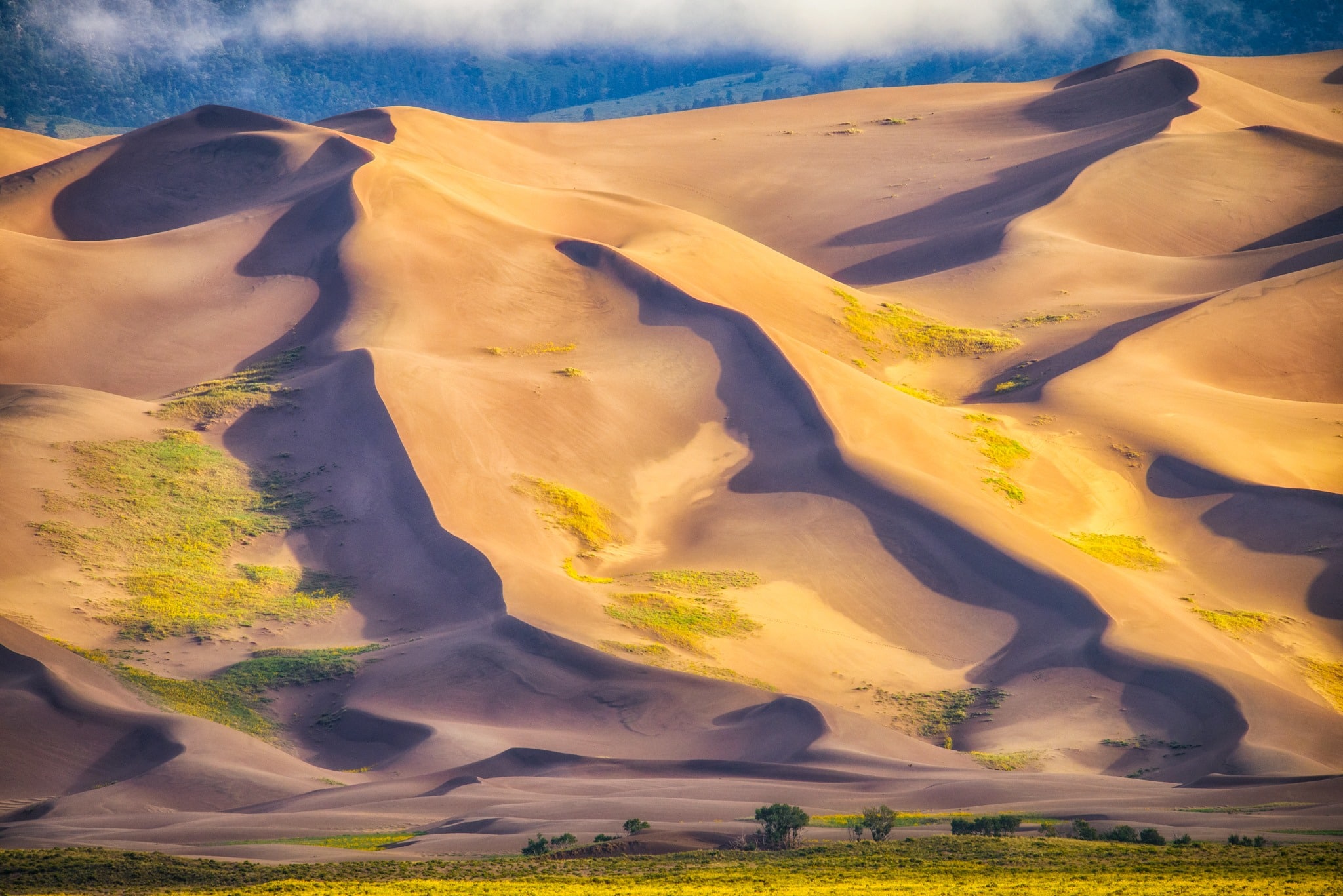 The clouds have just cleared the Great Sand Dunes, allowing the morning light to enhance their texture.