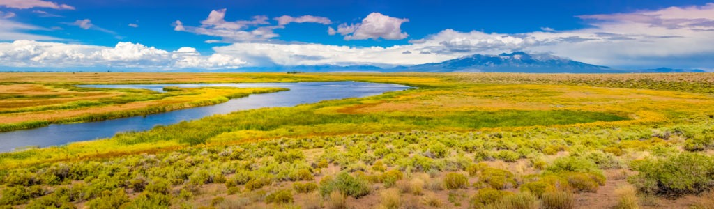 A view of part of the riparian habitat along the Rio Grand River in the Alamosa National Wildlife Refuge in Colorado from Bluff Overlook.