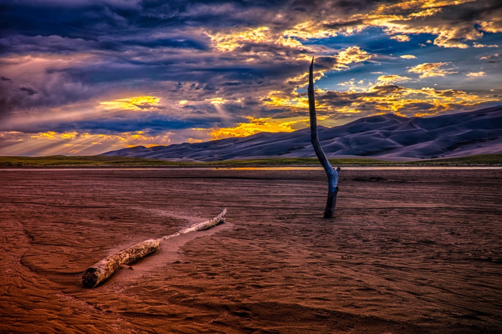 The last light of day highlights the driftwood in Medano Creek in Great Sand Dunes National Park and Preserve, near Alamosa, Colorado.