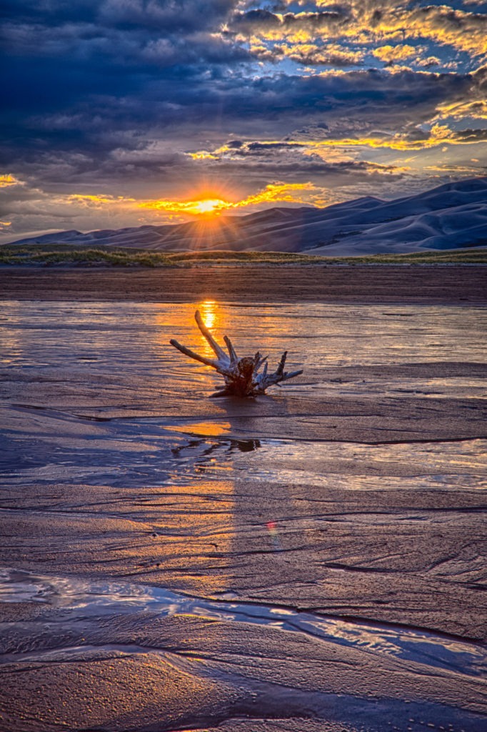 The last light of day highlights the driftwood in Medano Creek in Great Sand Dunes National Park and Preserve, near Alamosa, Colorado.