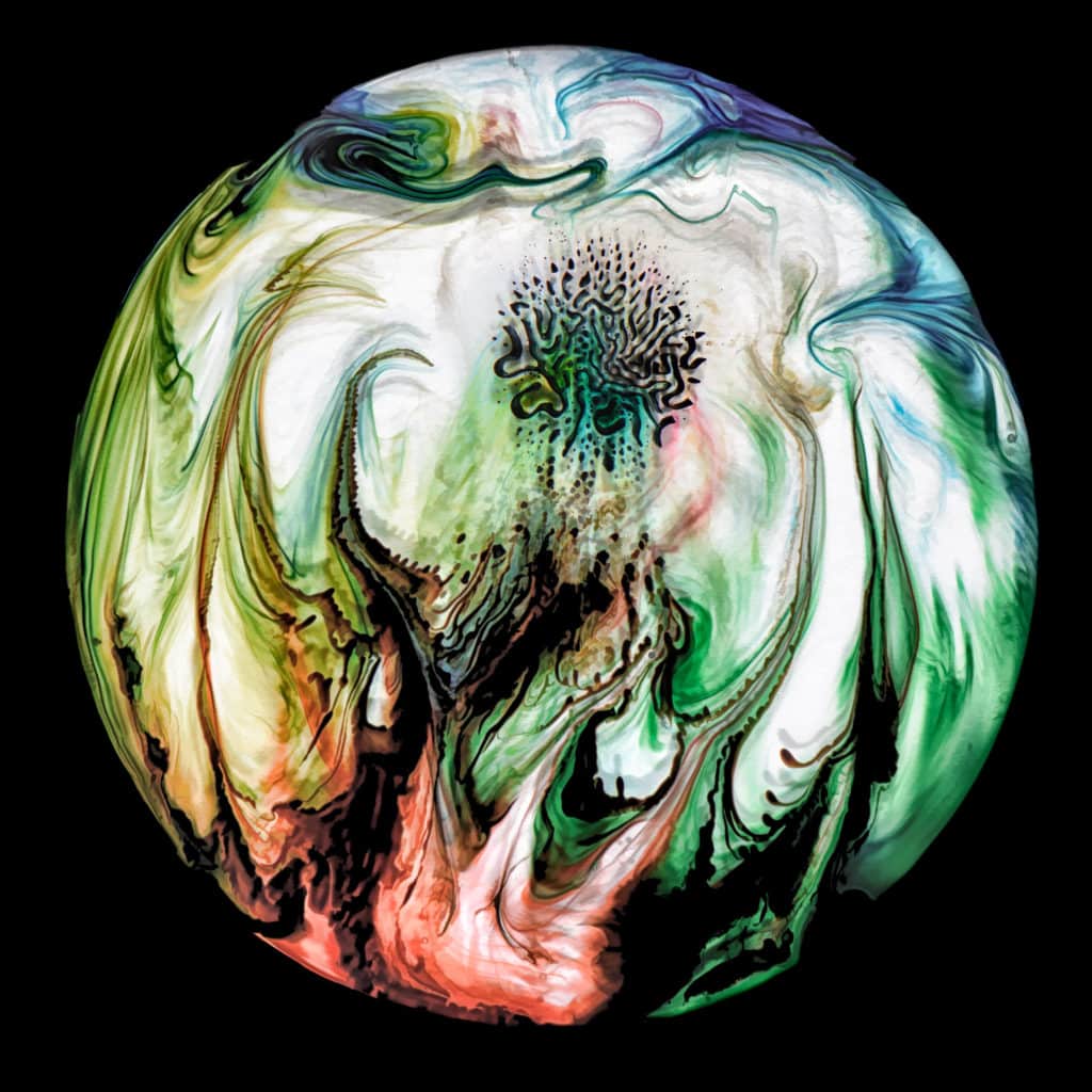 Ferro-magnetic fluid in a petrie dish with milk, food coloring, acrylic paint, and glycerine. - Ferrofluid abstract photographs
