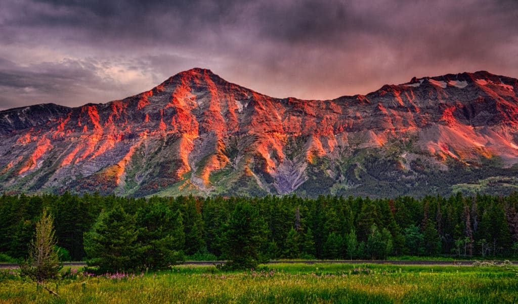 Sunrise along US Route 2 southwest of East Glacier, Montana. Notice the fireweed in the foreground. Montana Summer Landscapes