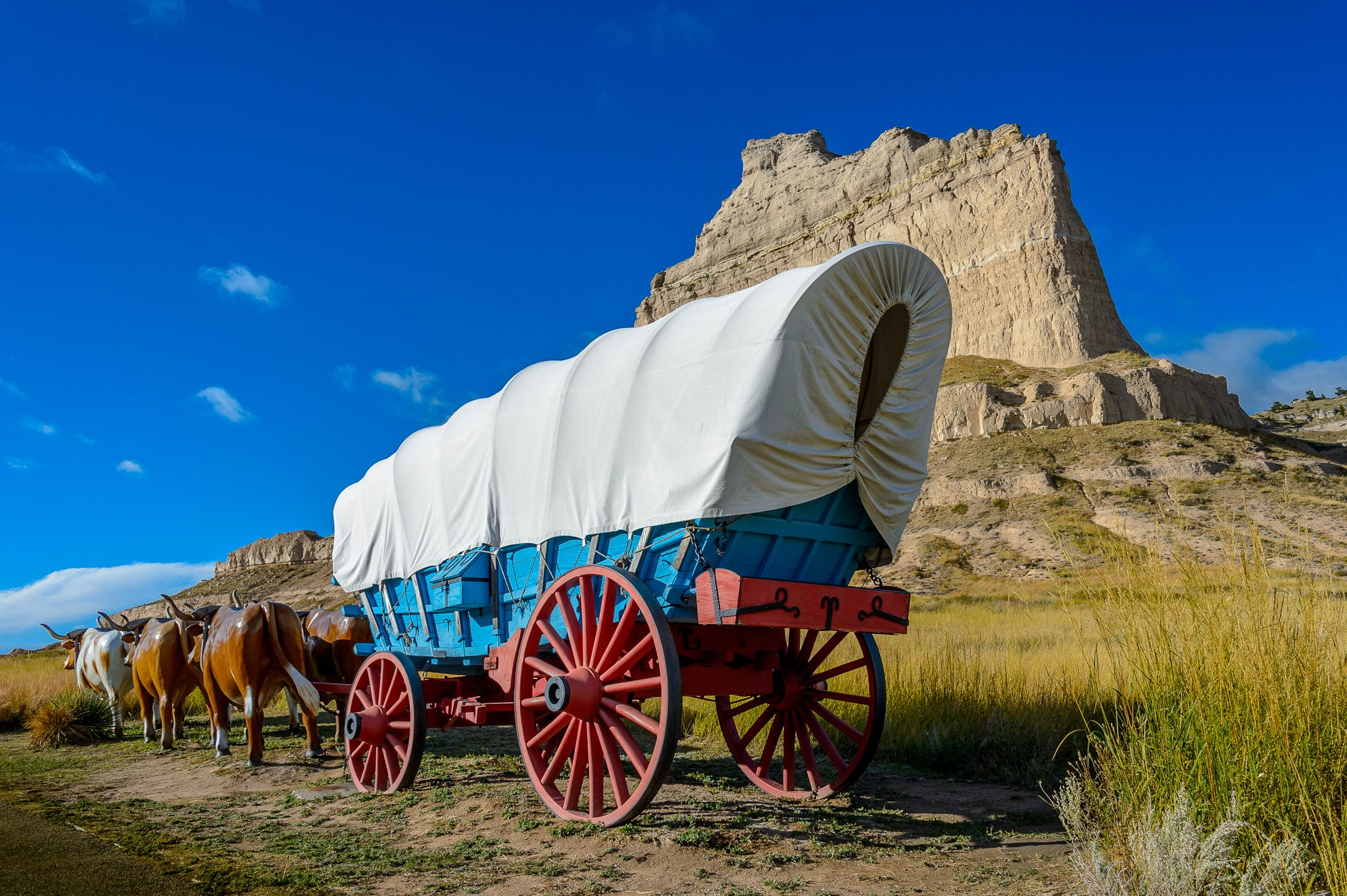This re-creation of a Conestoga wagon with a team of oxen is prominantly displayed along the entrance road to Scotts Bluff National Monument.