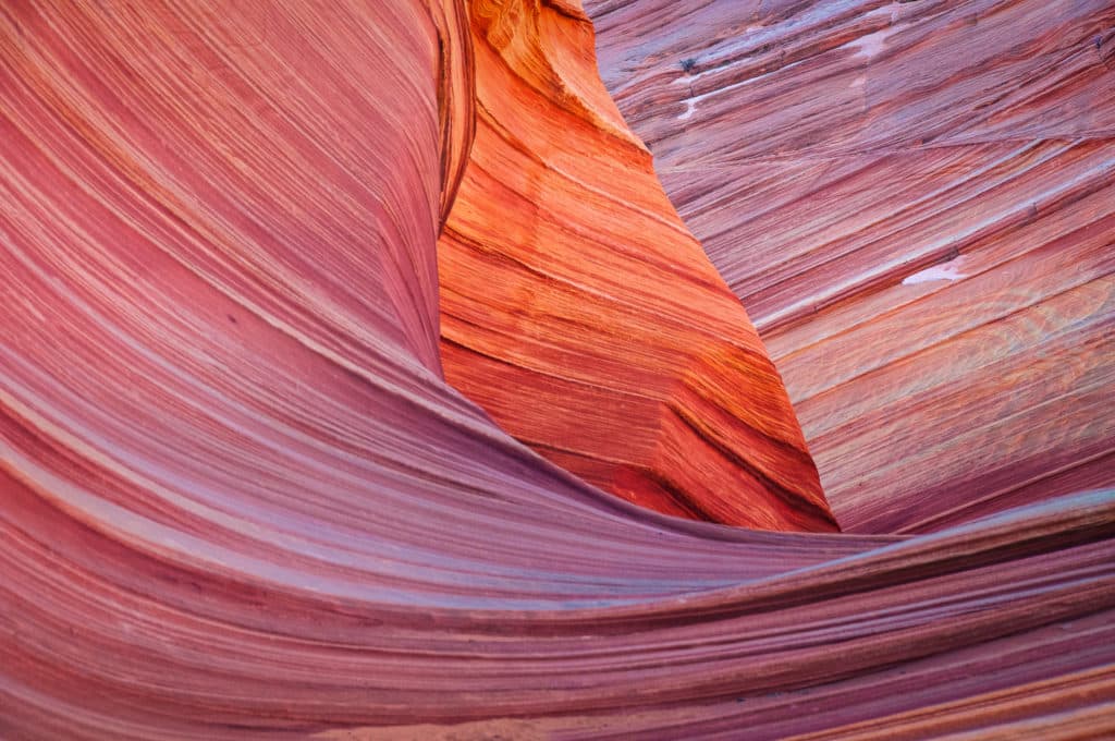 Closeup of fins in the Wave in Coyote Buttes, part of the Vermilion Cliffs National Monument.