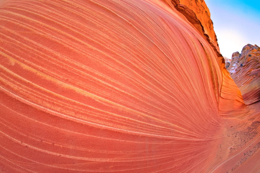 Swirling sandstone strata at The Wave in the North Coyote Buttes area of the Vermillion Cliffs National Monument.