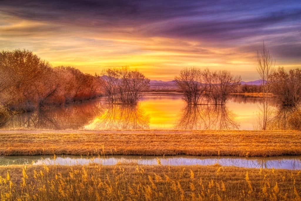 Sunset at one of the ponds of the Bosque del Apache National Wildlife Refuge, near Socorro, New Mexico.
