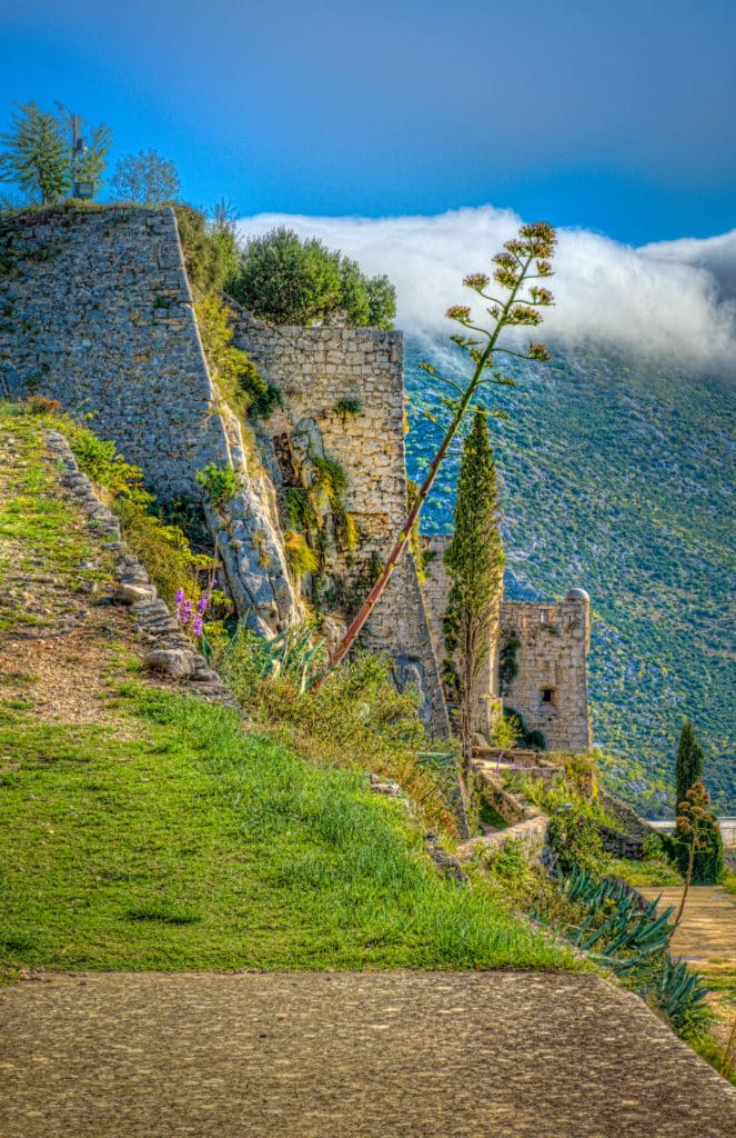 A detail of the fortification walls of Klis Fortress, above Split, with an agave leaning away from the walls.