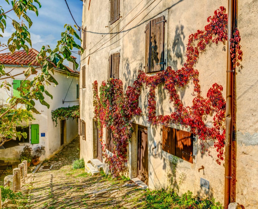 Looking down a cobbled street in the Medieval Istrian village of Motovun, Croatia. Red Virginia Creeper grows on the wall of a building.