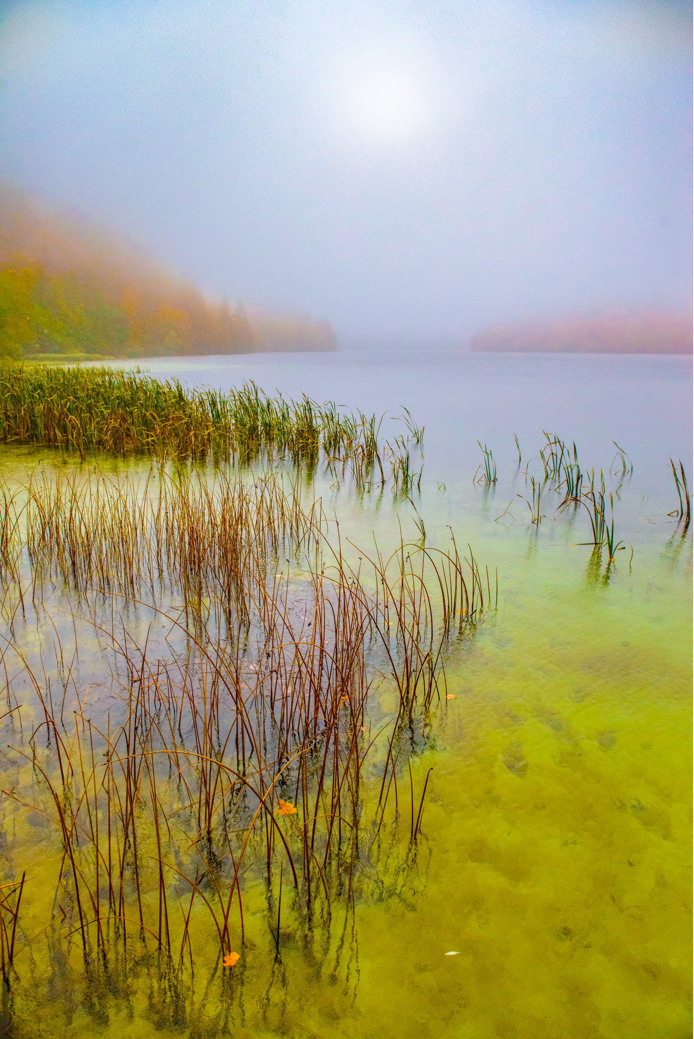 A foggy autumn morning on Lake Ciginovac in Plitvice Lakes National Park in Croatia.