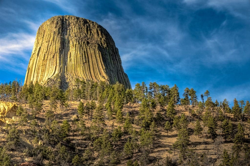 A view of the pine forest that surrounds Devils Tower.