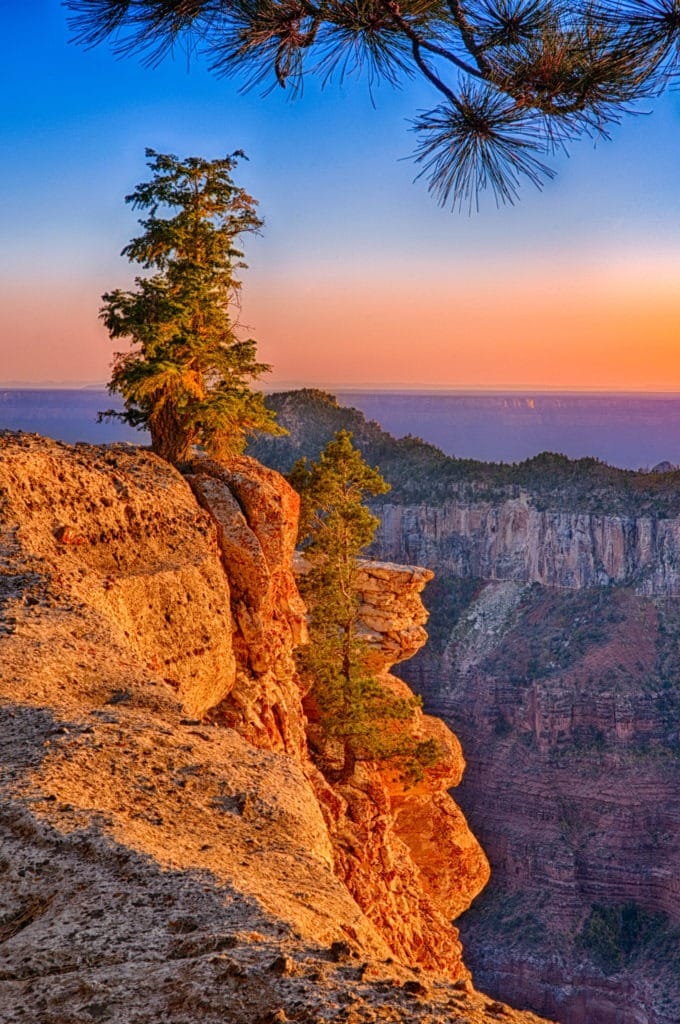 Looking south from the Transept Trail on the North Rim of the Grand Canyon. - Grand Canyon North Rim