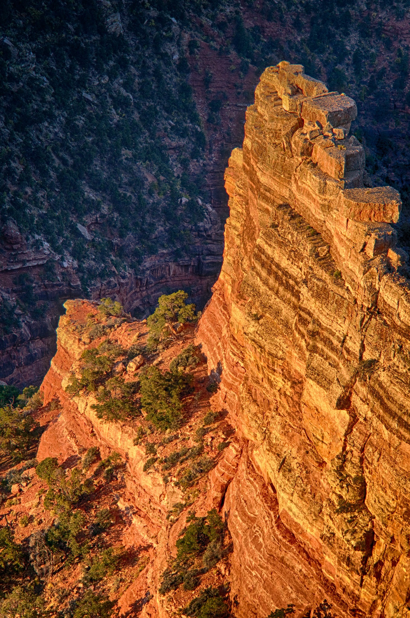 Light warms sandstone towers below Cape Royal on the North Rim of the Grand Canyon. - Grand Canyon North Rim