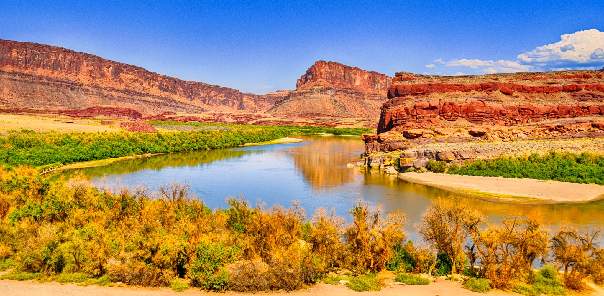 Jackson Bottom along the Colorado River southwest of Moab, Utah.