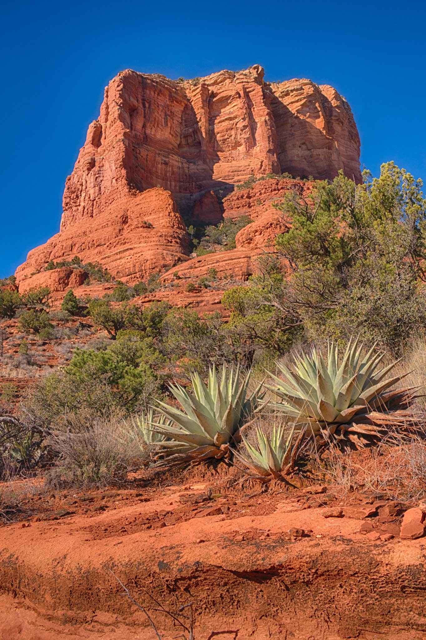 Bell Rock as seen from the Bell Rock Trail in Sedona, Arizona.