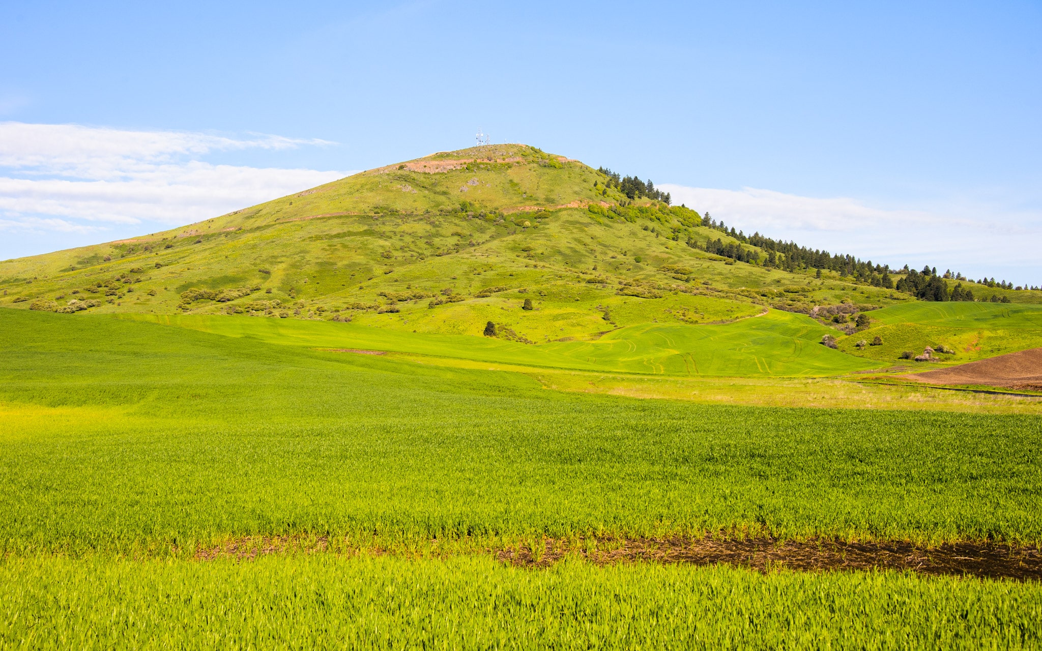 Steptoe Butte, in Steptoe Butte State Park, is a remnant of an earlier landscape that peeks through the rolling loess hills of the Palouse region of eastern Washington near Colfax.