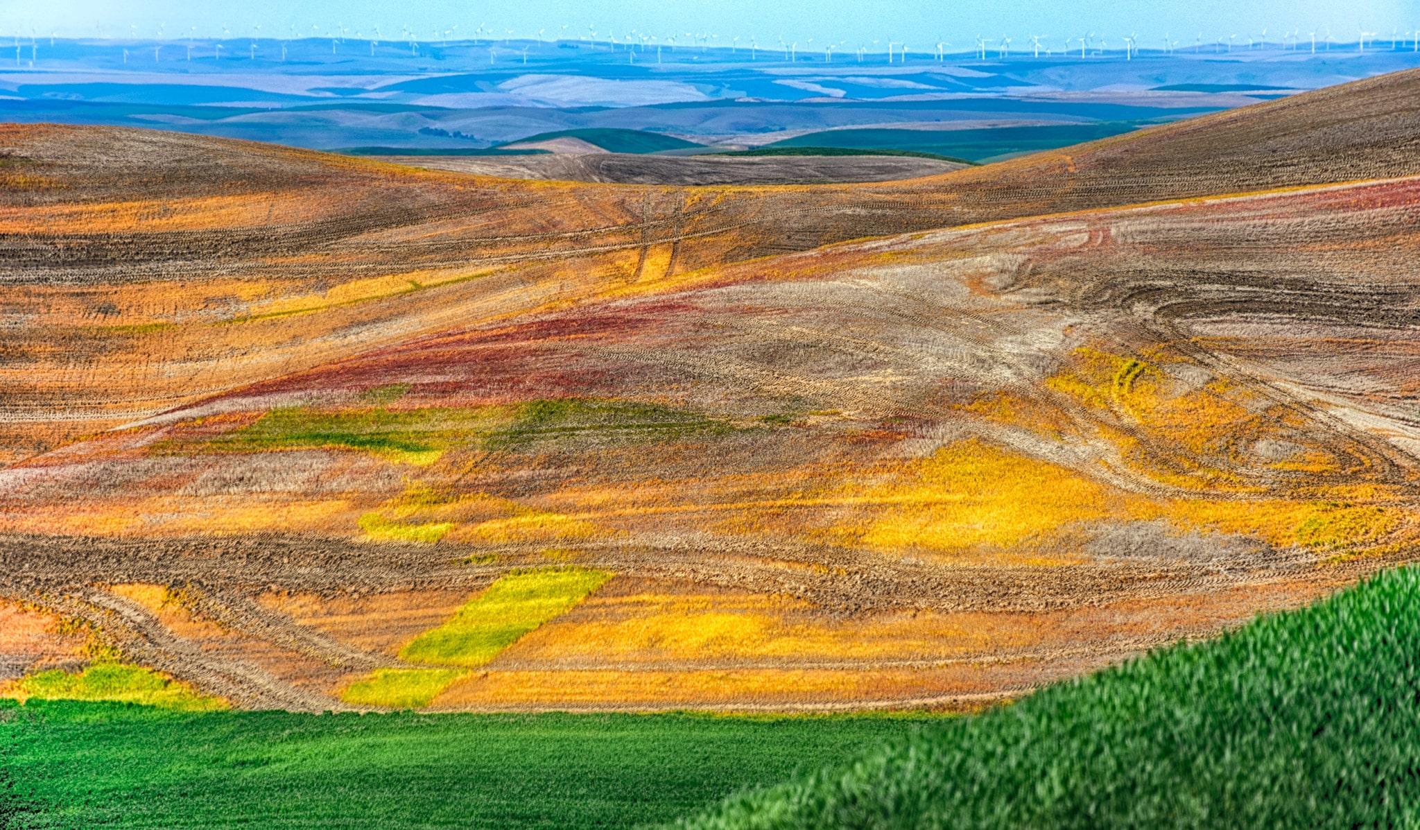 Tractor tracks add texture to newly cultivated fields in the Palouse region of western Washington, near Colfax. In the distance wind turbines catch the prevaling winds.