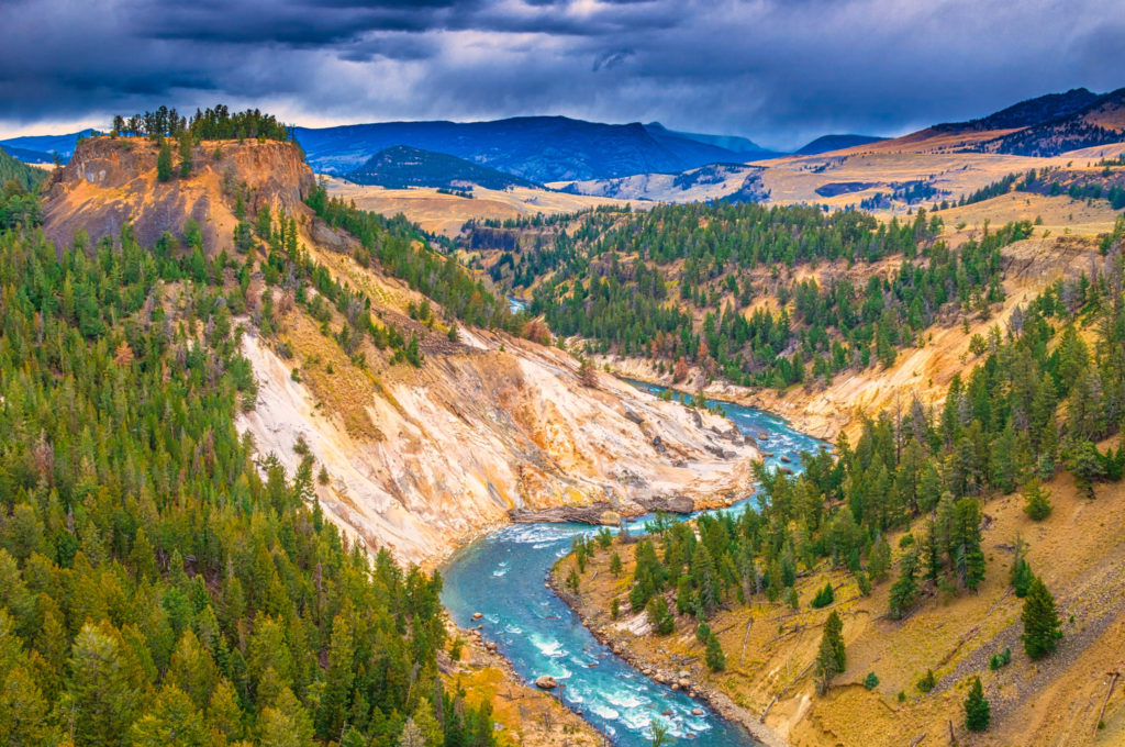 Yellowstone Park