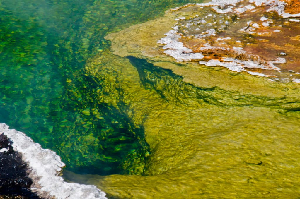 Edge details of Abyss Pool hot spring at the West Thumb Geyser Basin in Yellowstone National Park.