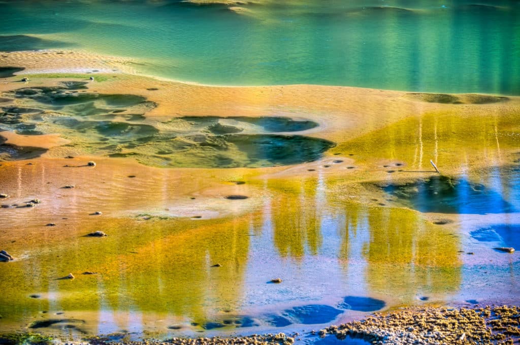 Dormant features in Norris Geyser Basin in Yellowstone National Park, Wyoming