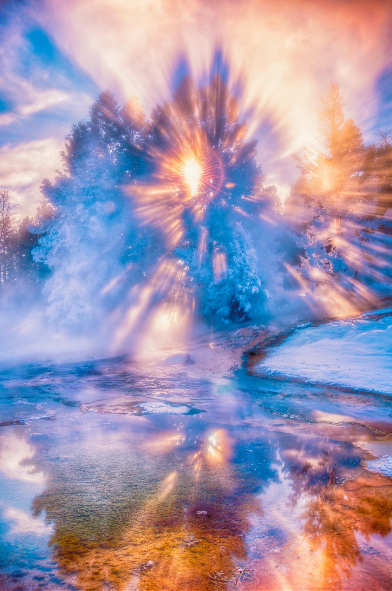 Sunlight through a tree radiate through the branches, casting shadows on the steam rising from a thermal pool in the Upper Terraces area of Mammoth Hot Springs in Yellowstone National Park.