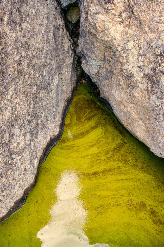 This is a closeup taken at the edge of Sylvan Lake in Custer State Park in South Dakota. It shows a triangle of pond scum surrounded by triangular granite boulders with a triangle of light intruding into the scum.