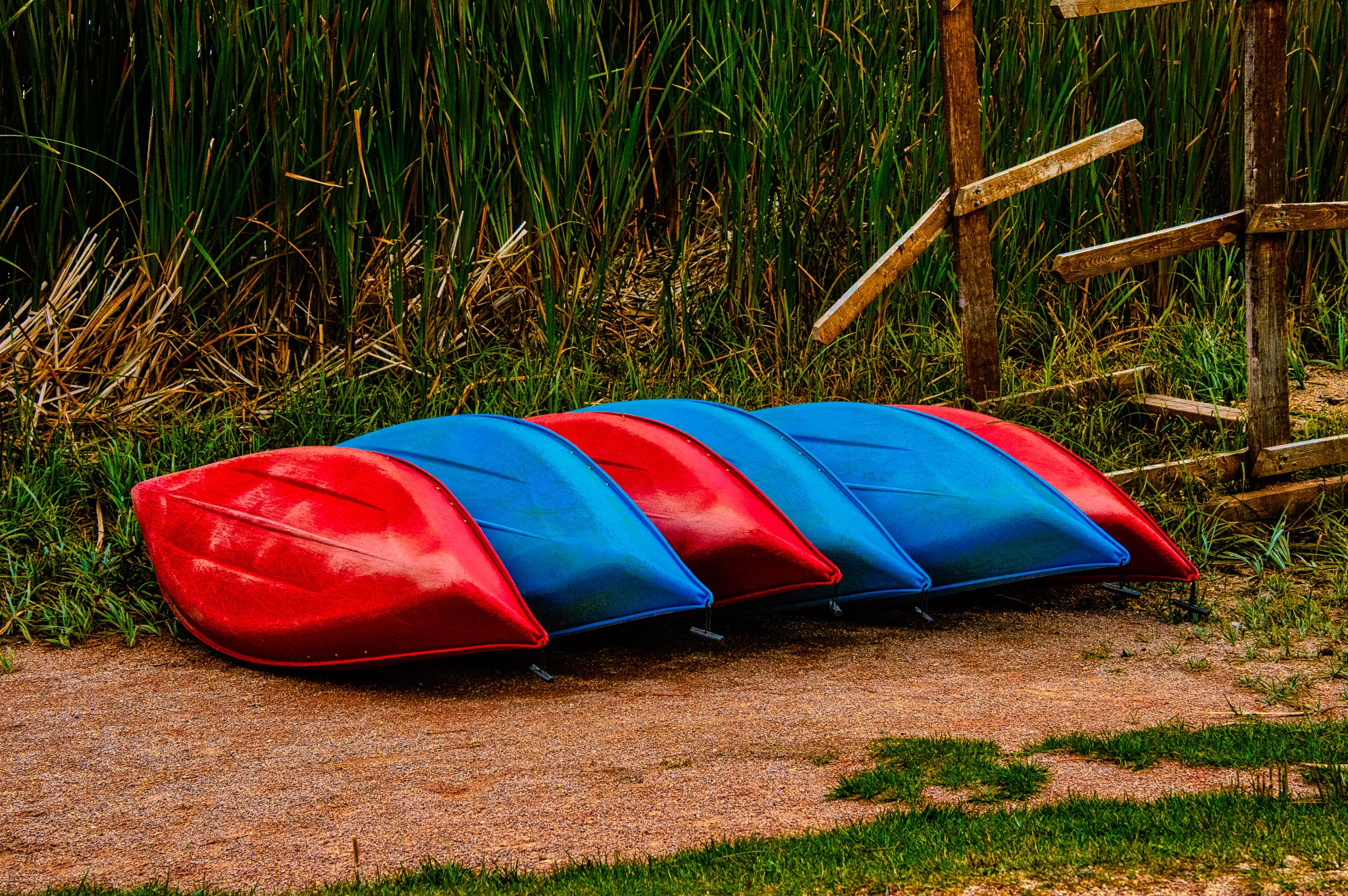 Red and blue canoes are nestled together on the shore of Sylvan Lake in custer State Park, South Dakota.