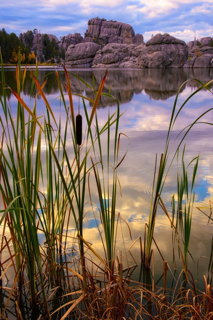 Clouds and granite rock formations are reflected in the still water of Sylvan Lake, with cattails in the foreground.