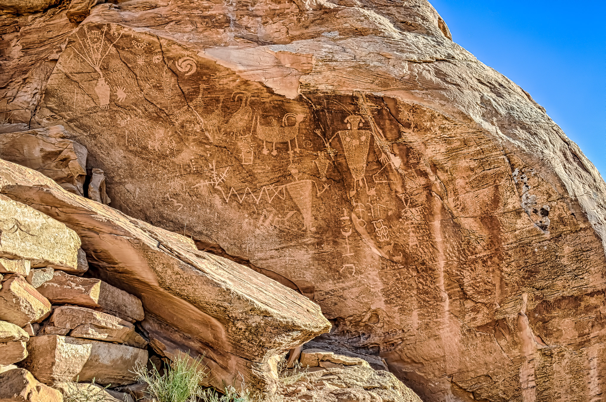Petroglyphs on rock overlooking Cub Creek In Dinosaur National Monument.