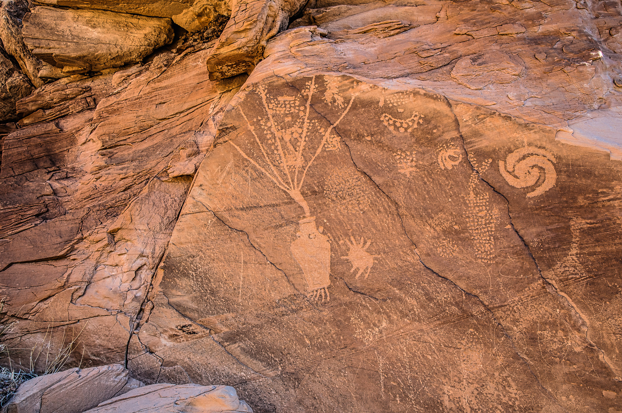 Closeup of petroglyphs on rock overlooking Cub Creek In Dinosaur National Monument.